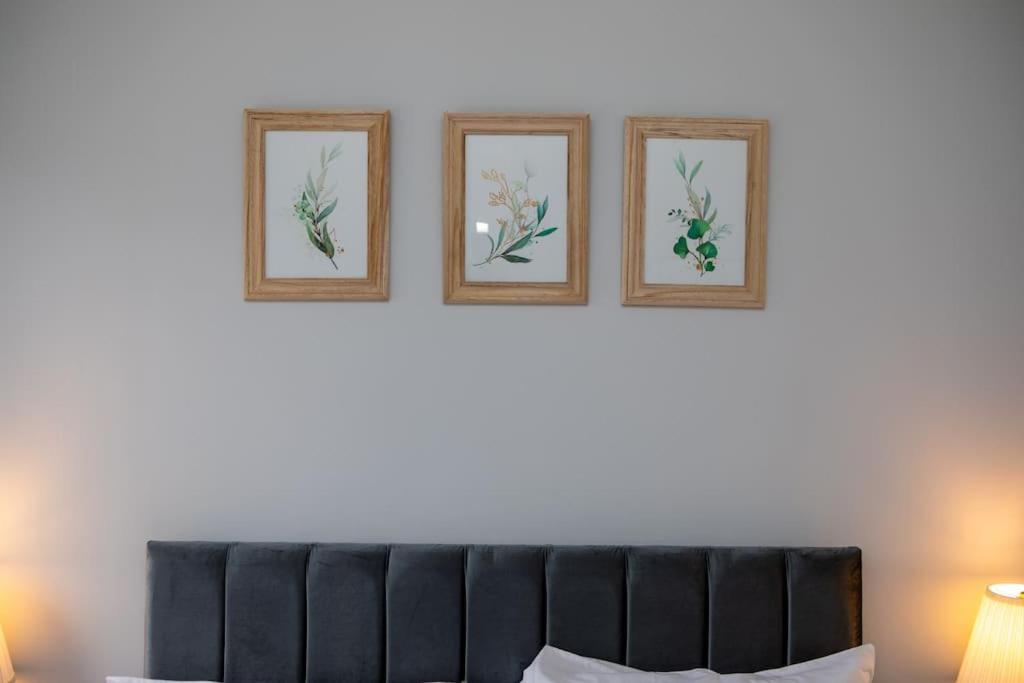 Modern Apartment Free Parking Double Bed Suite 5 نوتينغهام المظهر الخارجي الصورة